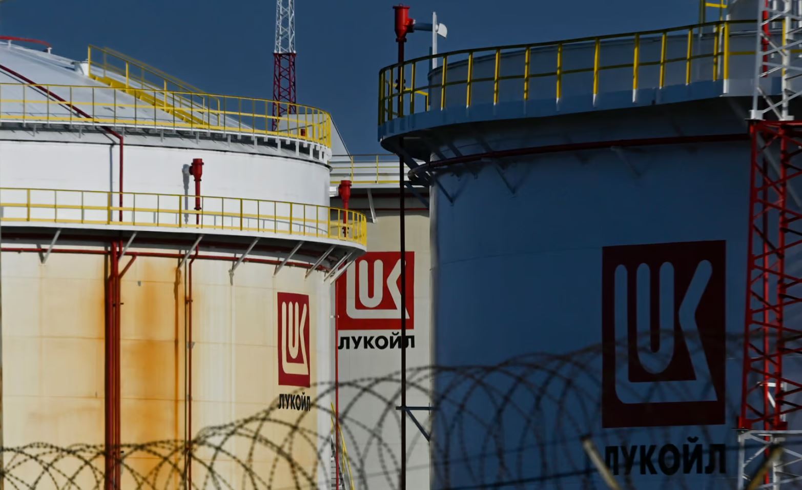 Luu Ban Nhap Tu Dong 65 1