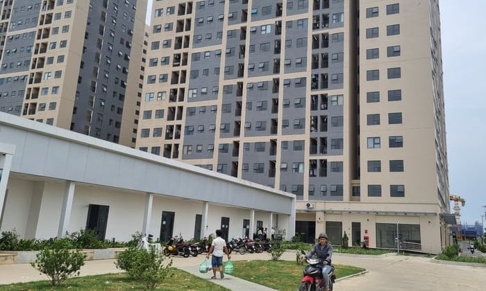 Luu Ban Nhap Tu Dong 67 1