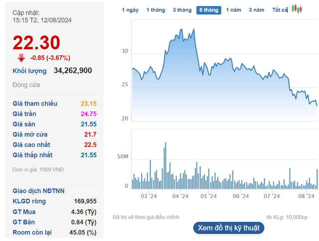Hai Ctck Da Ban Giai Chap Hon 5 Trieu Co Phieu Dig Cua Co Chu Tich Nguyen Thien Tuan 1