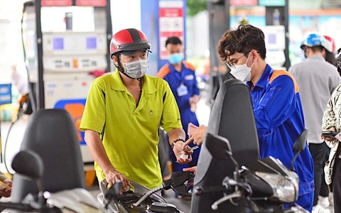 Gia Xang 1724314397473259693312 0 0 449 719 Crop 17261277061821930051543 1