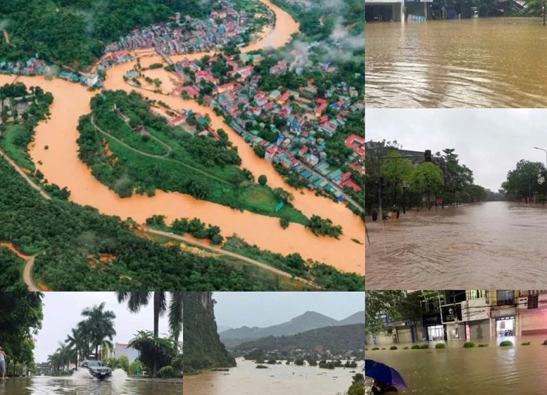 Luu Ban Nhap Tu Dong 40 1