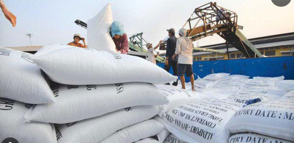 Anh Man Hinh 2024 10 03 Luc 091507 0915 1 1