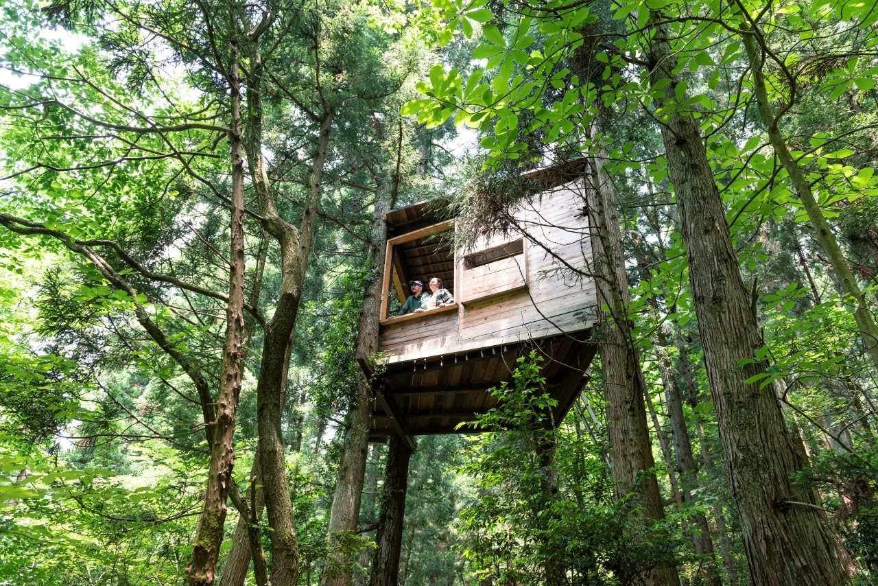 A Couple Looking Out From The Window Of A Tree House In The Forest.