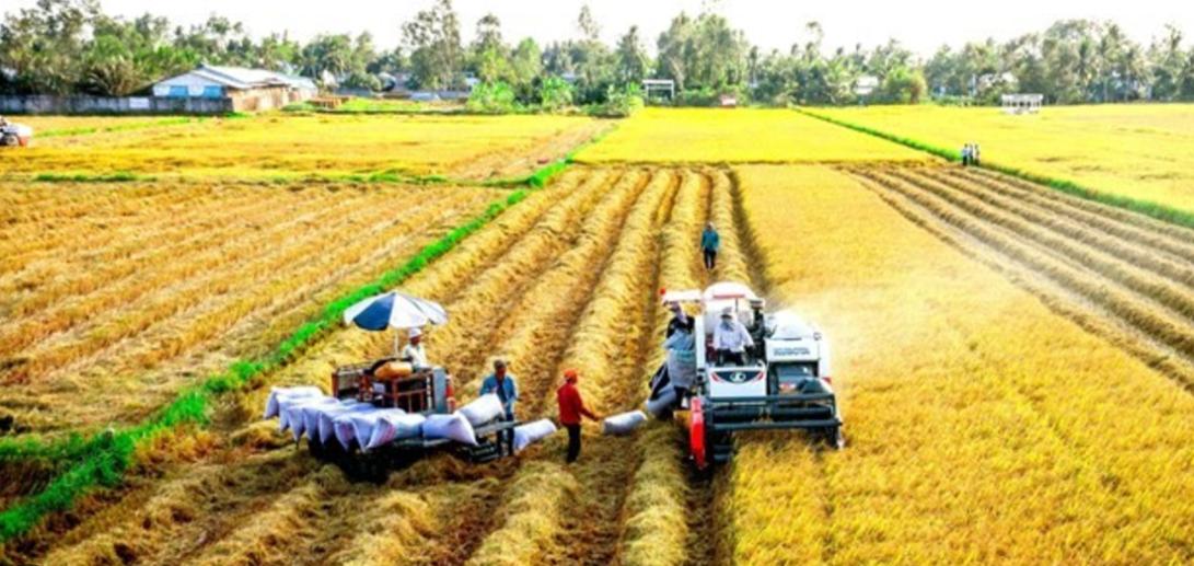 Anh Man Hinh 2024 11 26 Luc 091924 0921 2 1