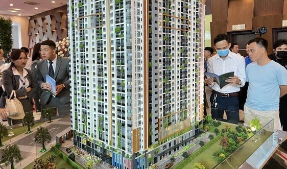 Luu Ban Nhap Tu Dong 30 1