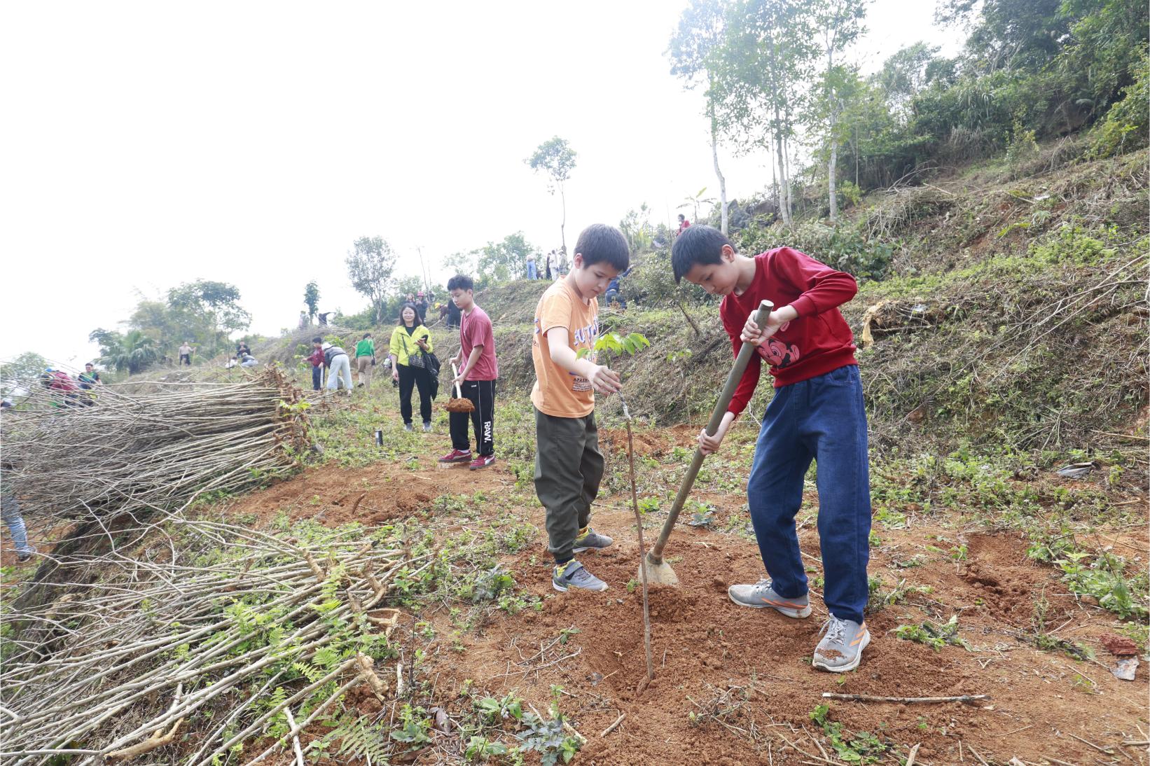 Tham Gia Trong Cay 1