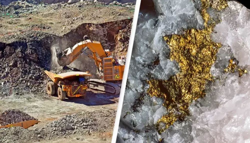 Luu Ban Nhap Tu Dong 80 1