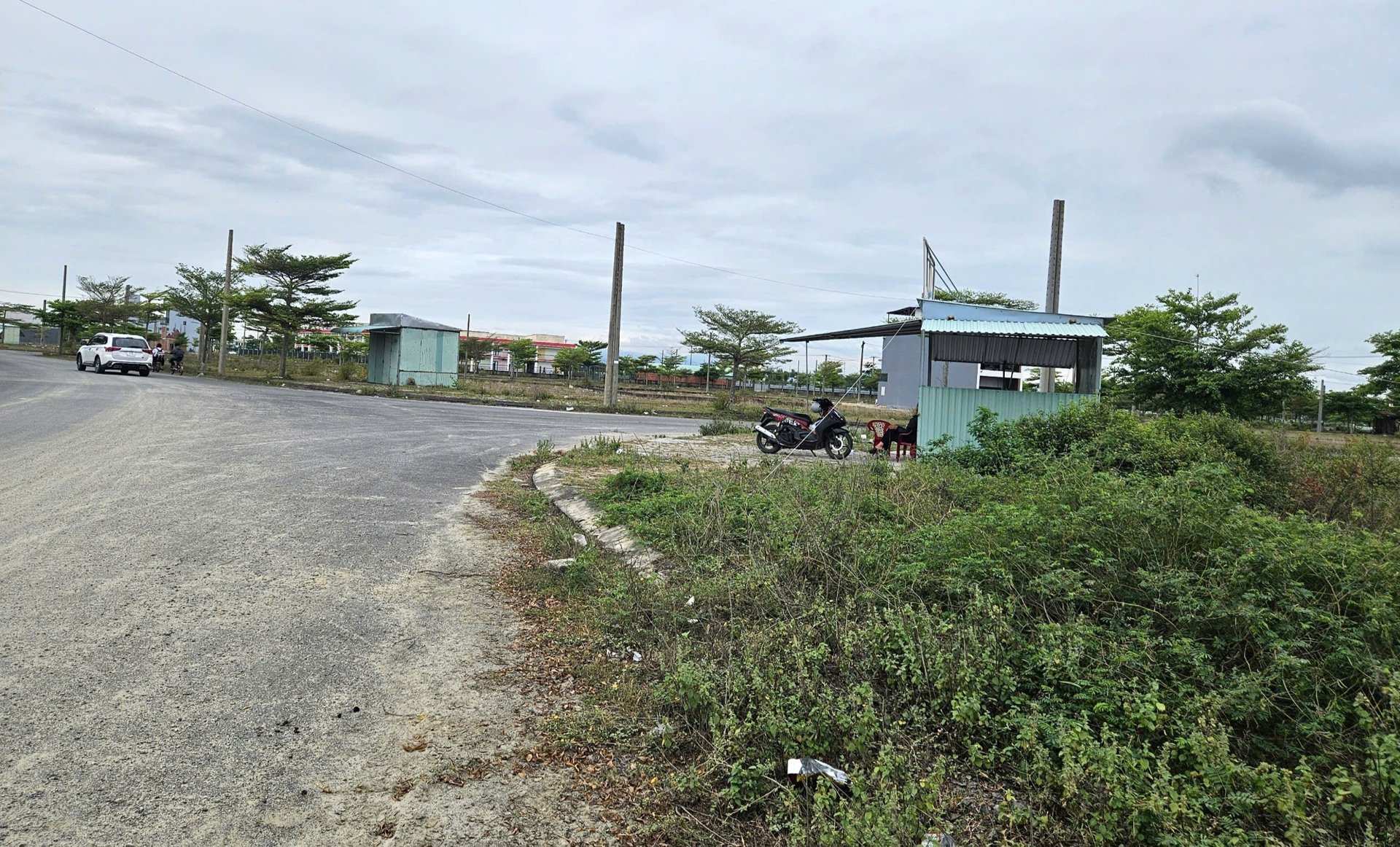 Dat Nen Bi Thoi Gia Tinh Quang Nam Yeu Cau Cong An Vao Cuoc 1