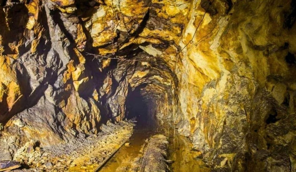 Luu Ban Nhap Tu Dong 51 1