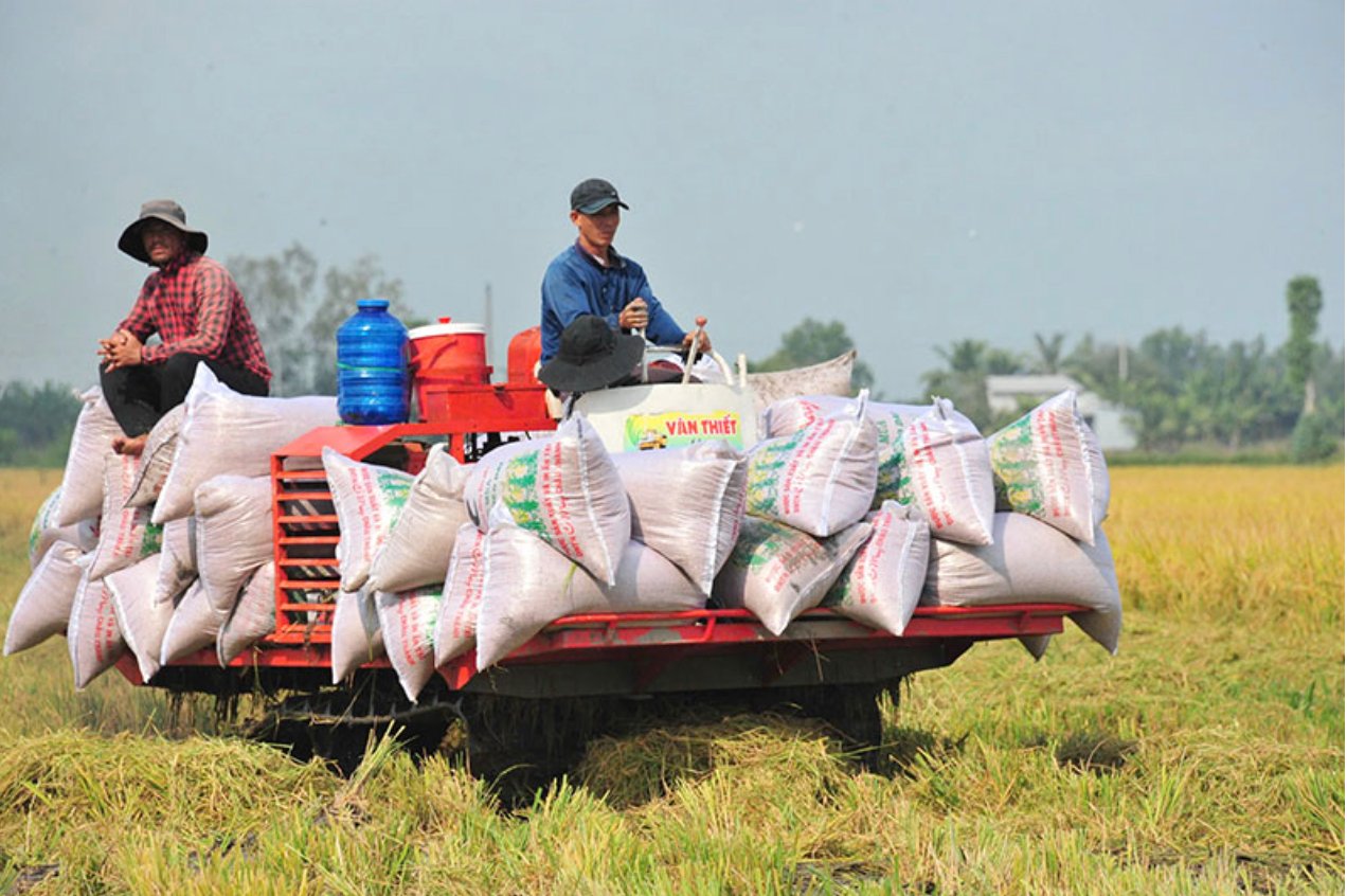 Luu Ban Nhap Tu Dong 53 1