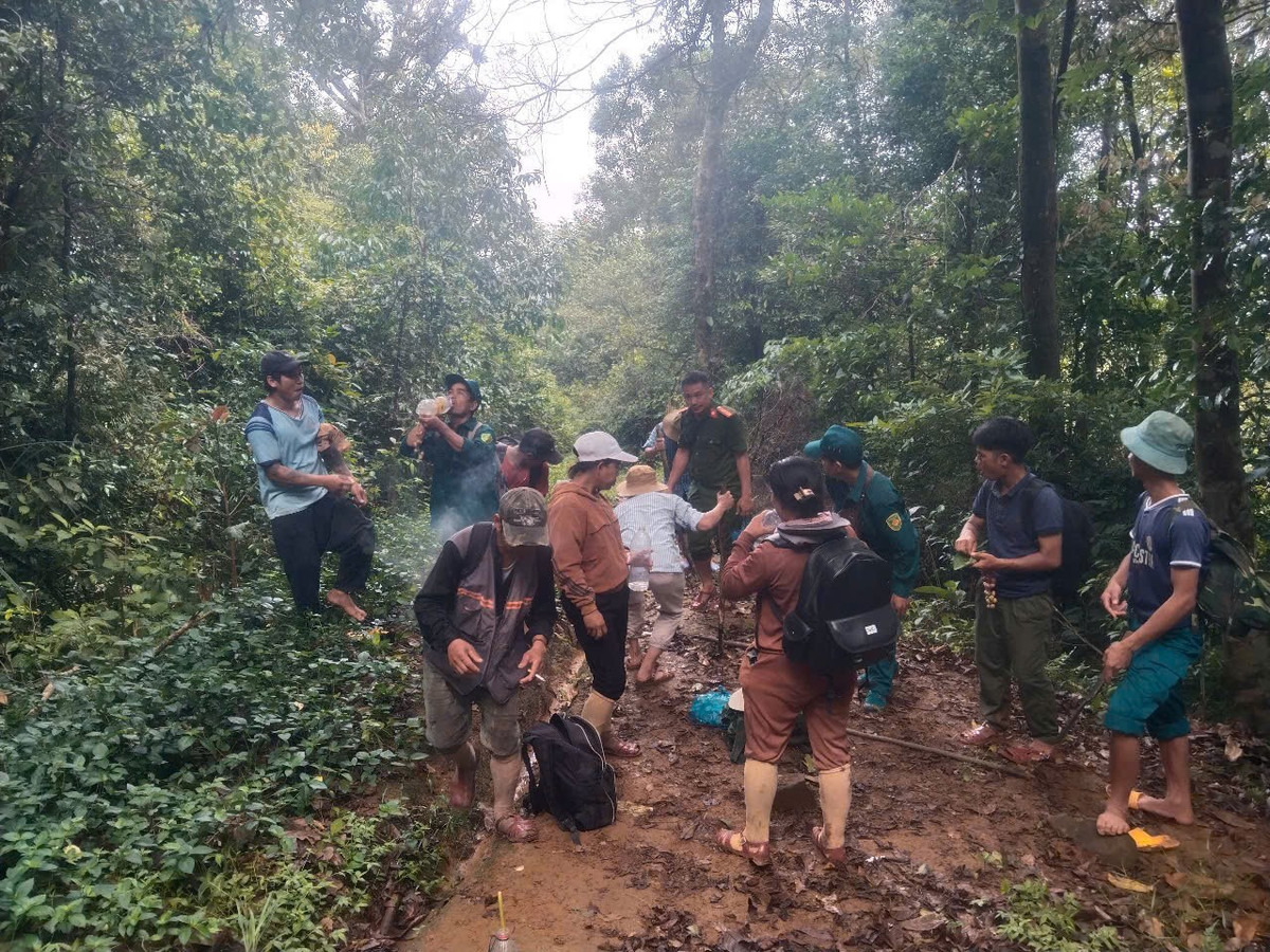 Di Rung Tim Mat Ong Tho Rung Ta Hoa Khi Thay Nguyen Bo Hai Cot 1