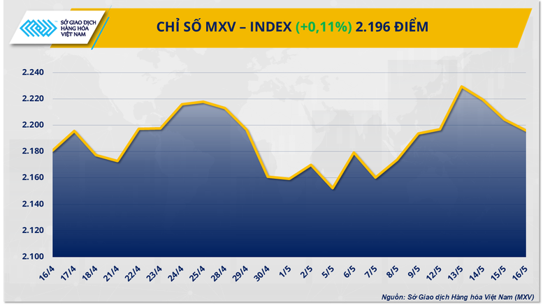 Luu Ban Nhap Tu Dong 3 2