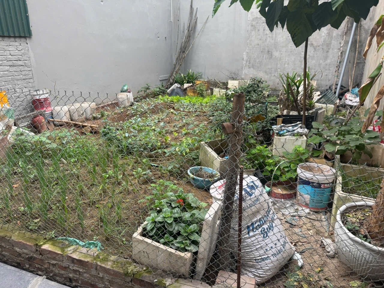 Đất Đông Anh tăng giá: Mặt đường 200 triệu/m2, có 4 tỷ khó mua mảnh đất ngõ cụt Đất Đông Anh tăng giá: Mặt đường 200 triệu/m2, có 4 tỷ khó mua mảnh đất ngõ cụt