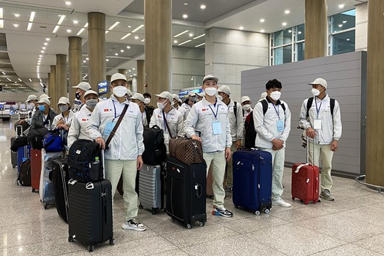 Phi Moi Gioi Tren Troi Truc Loi Xuat Khau Lao Dong Siet Ky Cuong Xu Ly Nghiem Sai Pham 1