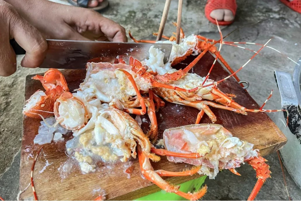 Tôm hùm bơm tạp chất, gian lận thương mại... hại sức khỏe Tôm hùm bơm tạp chất, gian lận thương mại... hại sức khỏe