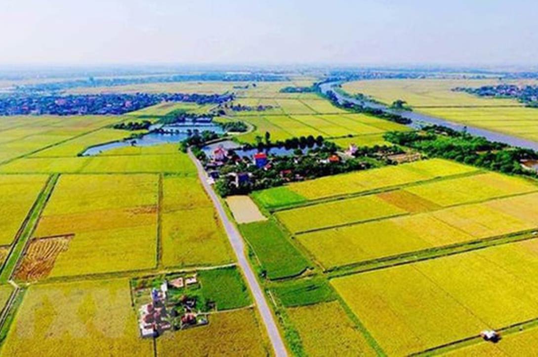 Tiền chuyển nông nghiệp sang đất ở: Có thể giảm còn 30 - 50% Tiền chuyển nông nghiệp sang đất ở: Có thể giảm còn 30 - 50%