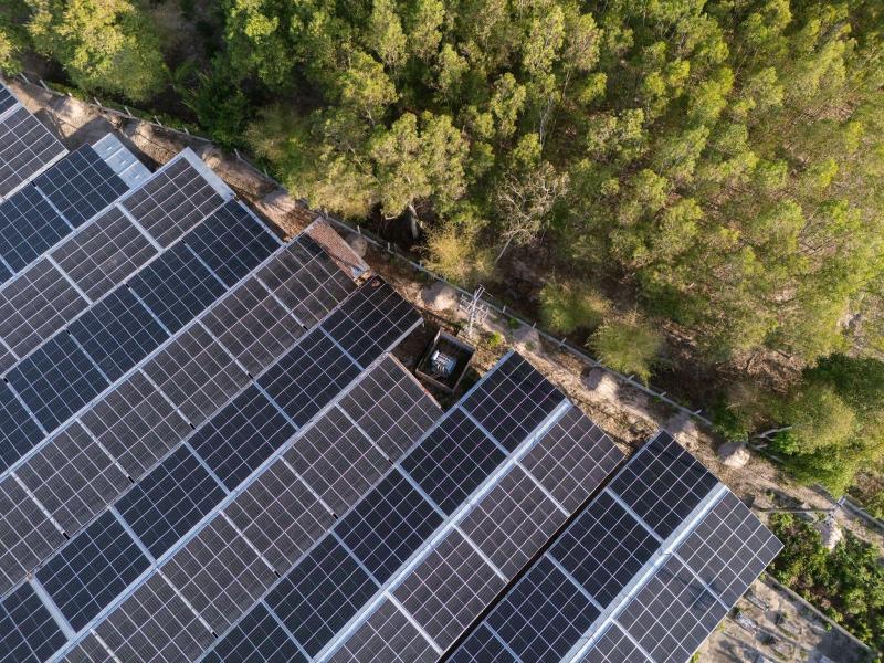 Da2dab50 9c76 4d31 A1ef 8a5dddae85a5 2