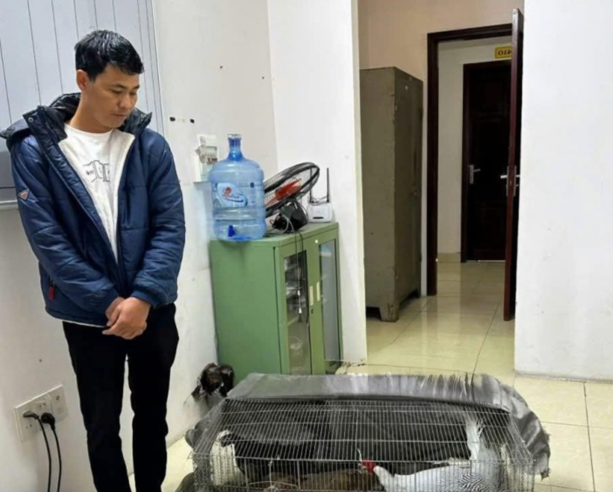 Vu 6 Nam Tu Vi Nuoi Ga Loi Trang Xem Xet Lai Toan Bo Vu An Va Ban An So Tham 1