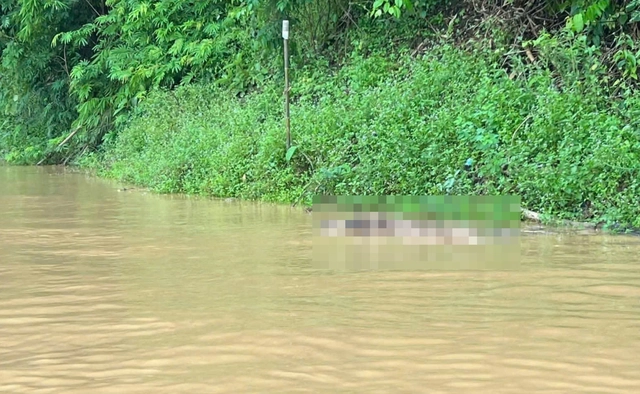 Xac Minh Danh Tinh Cua Hai Thi The Troi Tren Long Ho Thuy Dien O Nghe An 1