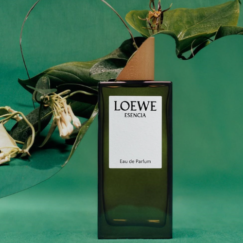 Loewe 2