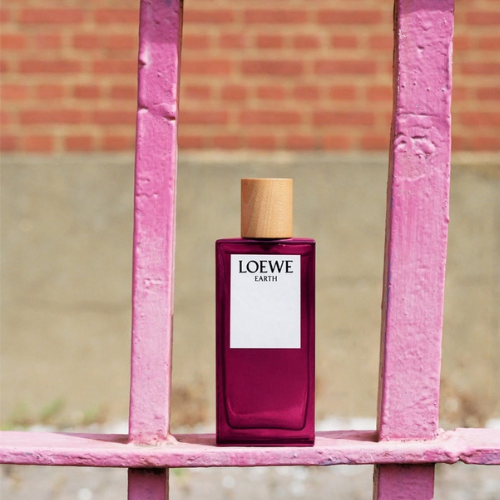 Loewe 5