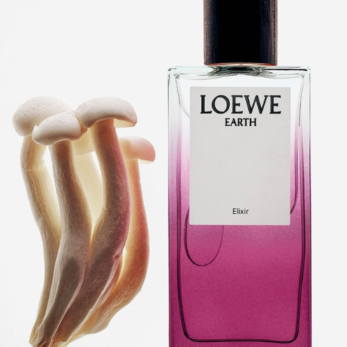Loewe 6