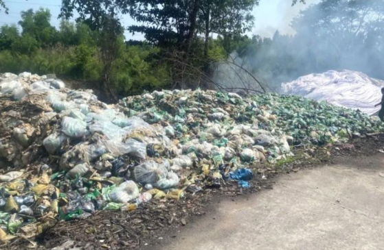 Do 270 Tan Chat Thai Ran Ra Moi Truong Giam Doc Cong Ty Bi Khoi To 1