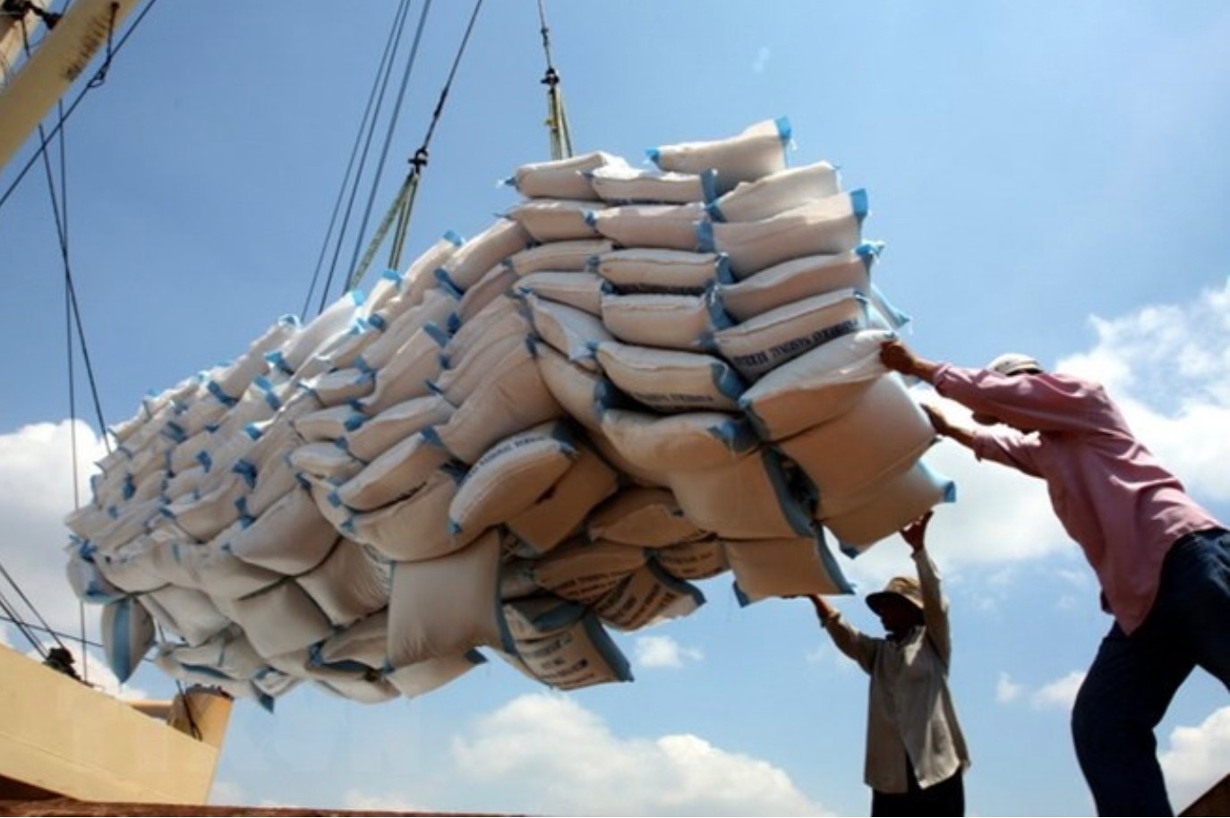 Philippines muốn kéo dài lệnh cấm nhập khẩu, gạo Việt đứng trước nhiều rủi ro Philippines muốn kéo dài lệnh cấm nhập khẩu, gạo Việt đứng trước nhiều rủi ro