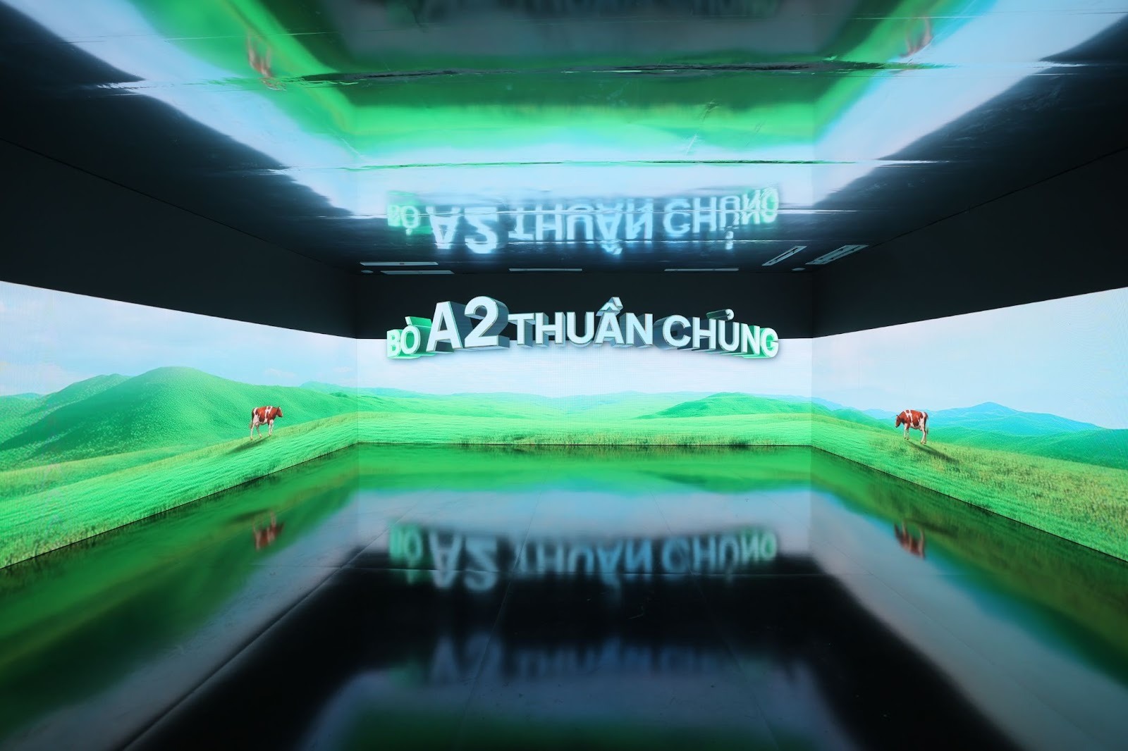 Aae6c103 6db9 4a70 81a4 678ee3b01fdc