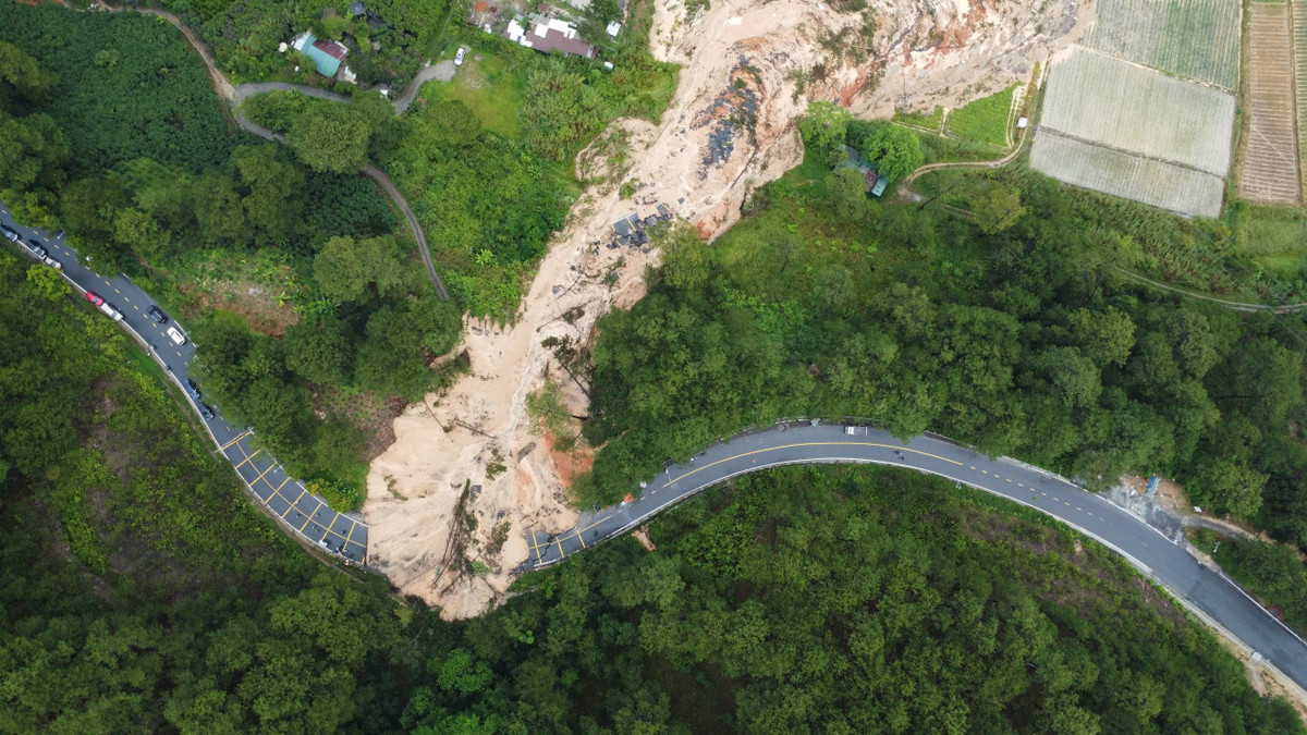 Can Canh Deo Mimosa Dut Gay Mo Rong Hien Truong Ngon Ngang 10