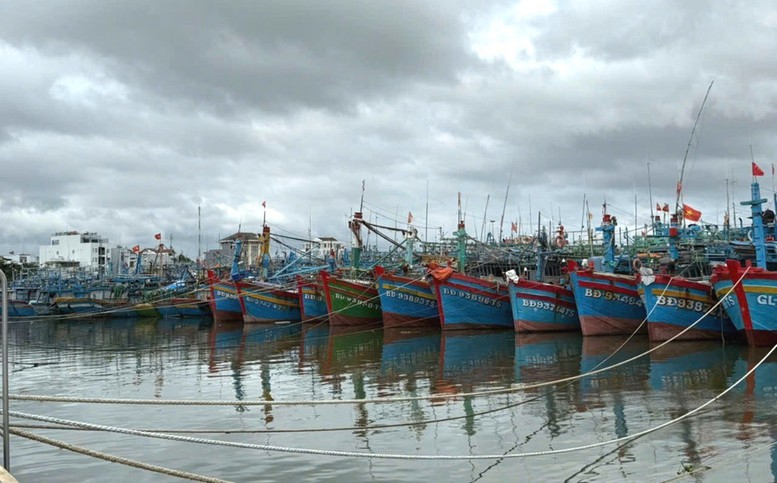 Gia Lai Khanh Hoa Khan Truong Trien Khai Cac Bien Phap Cap Bach Ung Pho Bao So 15 2