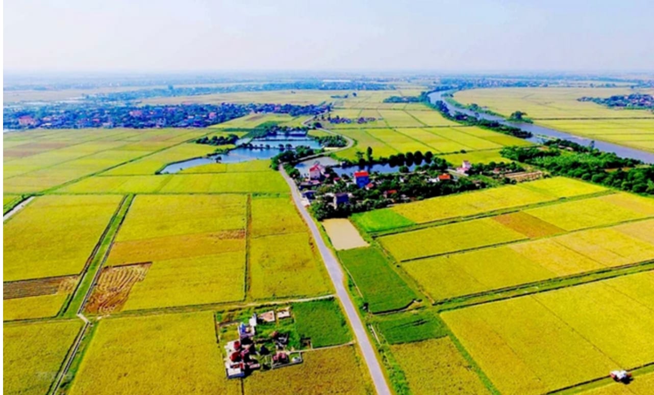 Chuyen Dat Nong Nghiep Sang Dat O Chi Phai Nop Phi Bang 30 Chenh Lech 1