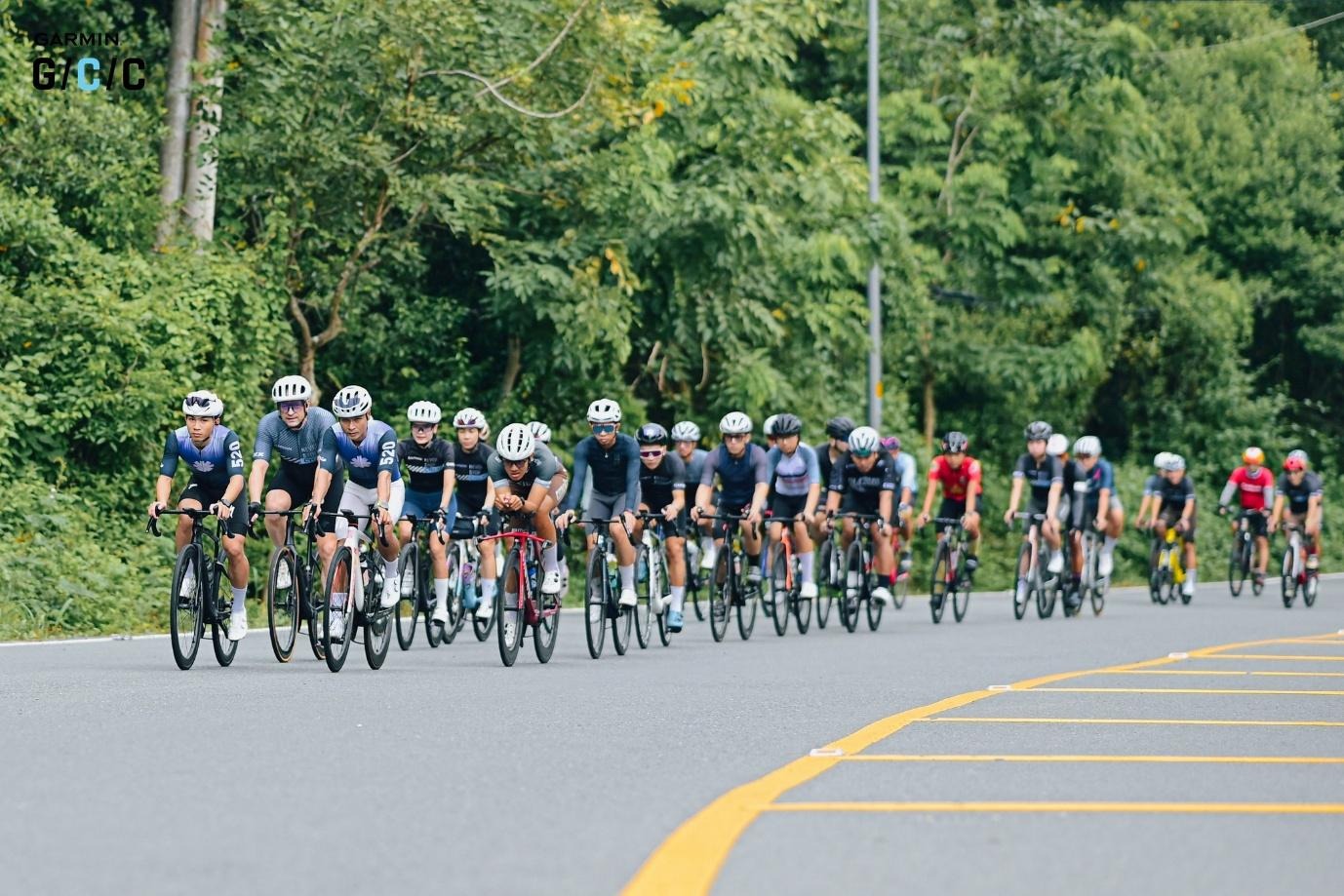 E468c02a A7ff 4bda 92af 62e51e6a3f15