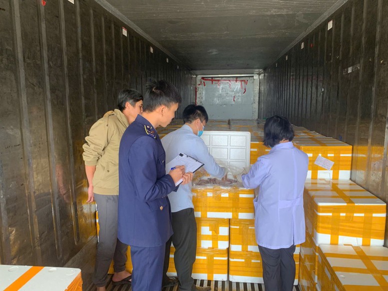 Phat Hien Tren 10 Tan Ca Khoai Chua Chat Bao Quan Cuc Doc 2