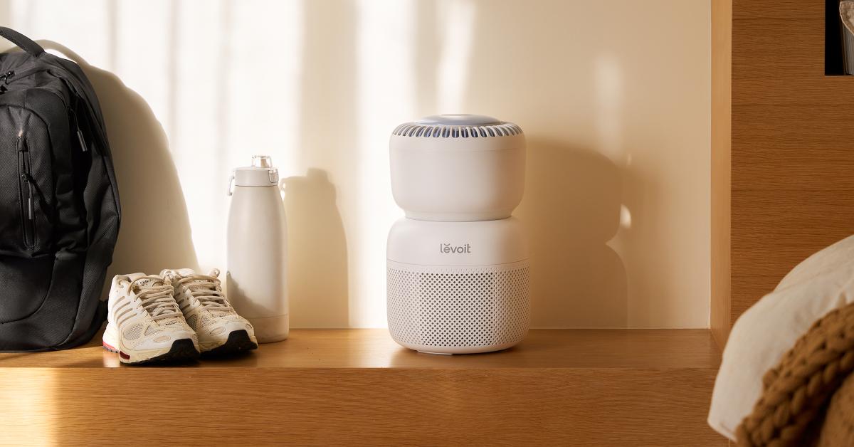 Sprout Pmax Landscape 01