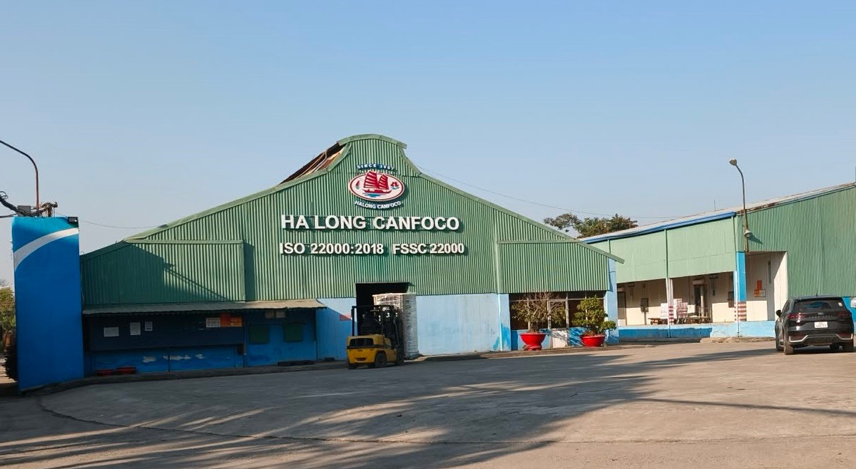 Dong Thai Moi Cong Ty Do Hop Ha Long Sau Khi Tong Giam Doc Bi Bat 1