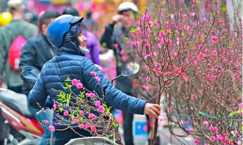 Tet Nguyen Dan 2026 Lanh Hon De Phong Mua Kem Ret Dam Ret Hai 1