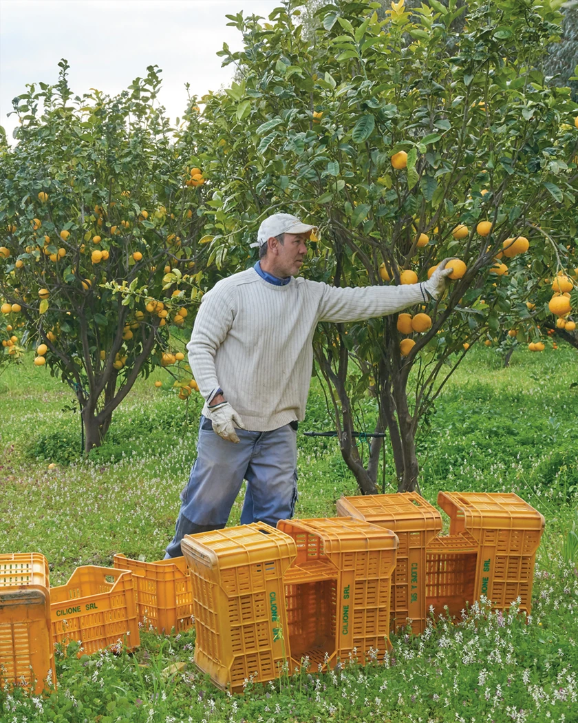 Aventus Cua Creed Di San Tay Nghe Thu Cong Tao Nen Bieu Tuong Huong Thom Vuot Thoi Gian 2