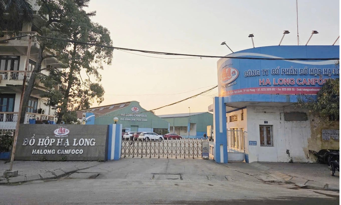 Do Hop Ha Long Thua Lo Quy Iv 2025 Ton Kho Phinh To Giua Lum Xum Thit Lon Nhiem Benh 2