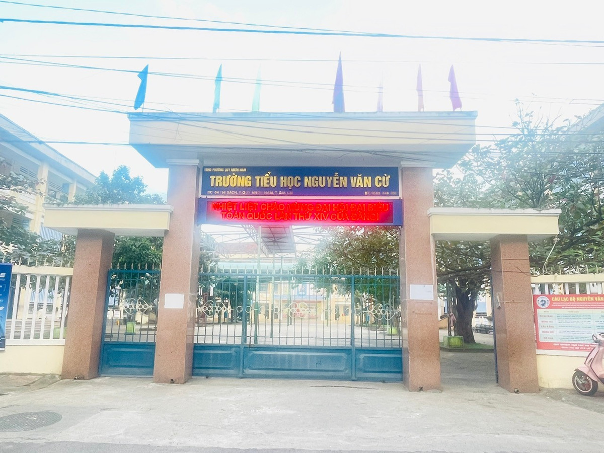 Gia Lai De Nghi Dieu Chuyen Hieu Truong Sau Vu Giao Vien Sua Bai Thi 1