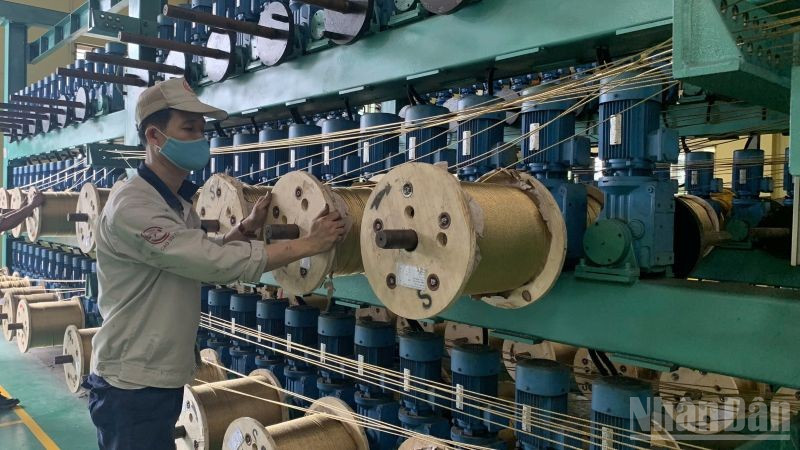 Thang 1 2026 Cac Nuoc Co Hon 245 Nghin Doanh Nghiep Quay Tro Lai Hoat Dong 3