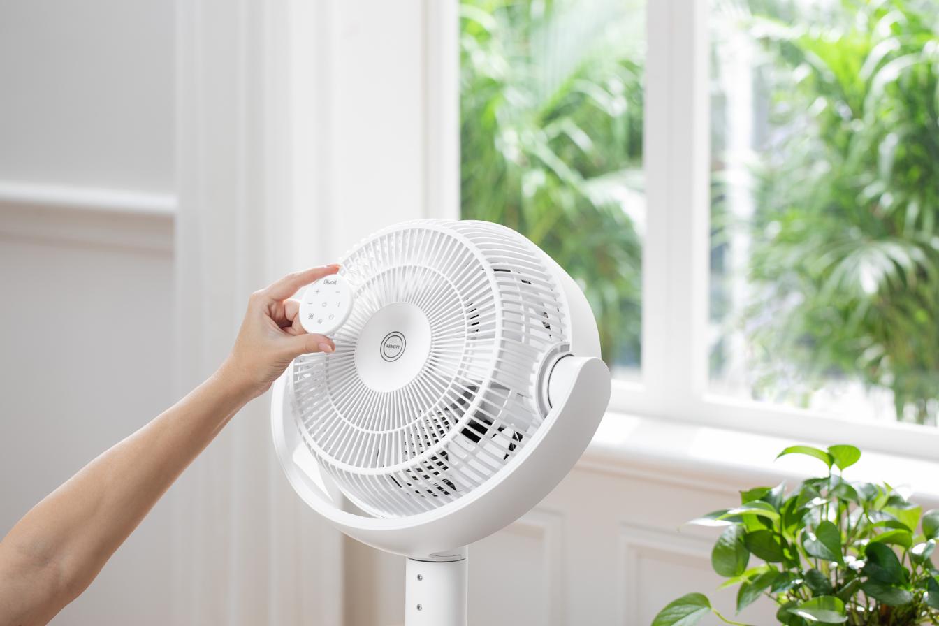 Ảnh Lifestyle (1) (1)