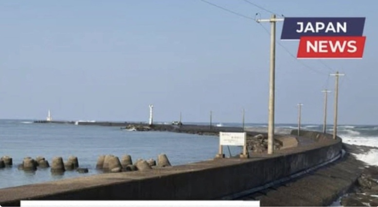 Thong Tin Ve 8 Lao Dong Viet Nam Gap Nan Do Song Lon Tai Nhat Ban 1