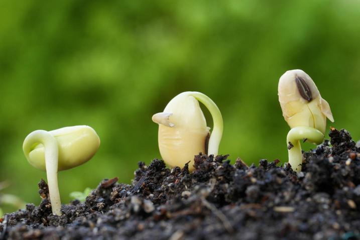 1b14b77a 0de8 4a26 Ad49 0d7f1615952b