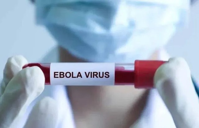 So Y Te Tphcm Chu Dong Giam Sat Ngan Nguy Co Dich Ebola Xam Nhap 1