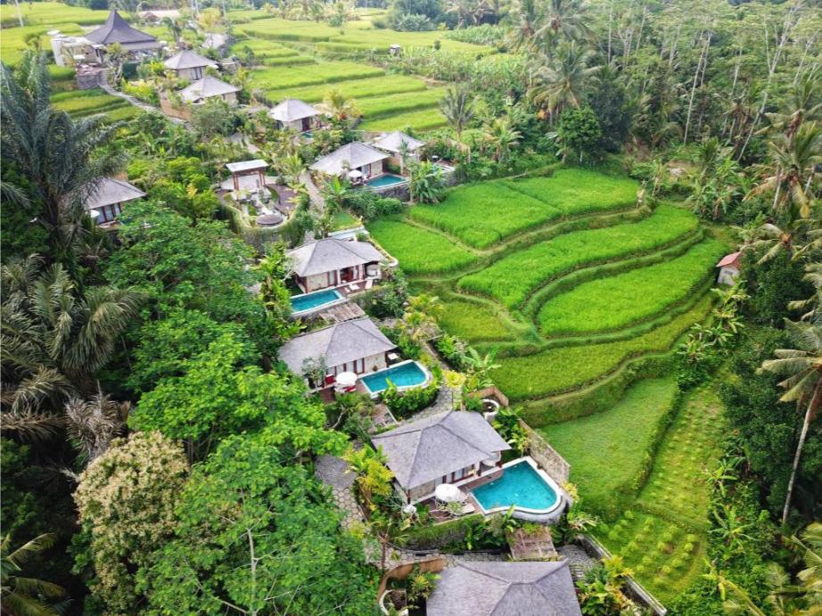 Ubud 2 2