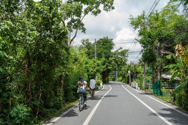 Anh Minh Hoa 2 1 1