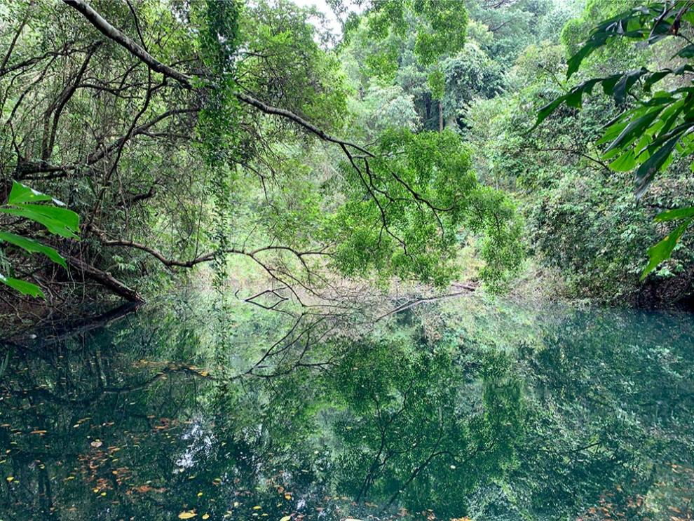 Keppel Hill Reservoir