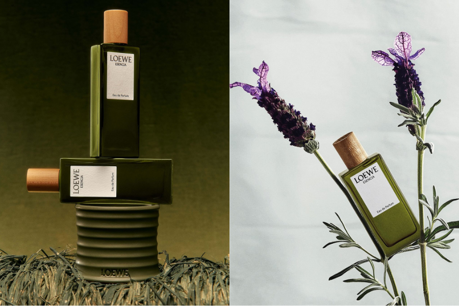 LOEWE Esencia: Ba phiên bản, một bản sắc nam tính vượt thời gian LOEWE Esencia: Ba phiên bản, một bản sắc nam tính vượt thời gian