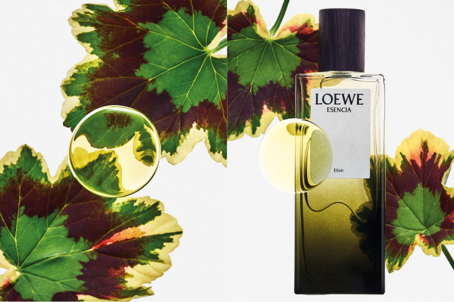 LOEWE Esencia: Ba phiên bản, một bản sắc nam tính vượt thời gian LOEWE Esencia: Ba phiên bản, một bản sắc nam tính vượt thời gian